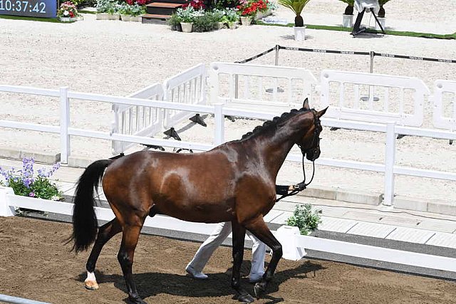 OLY-2020-DRESSAGE-JOG-7-24-21-1083-143-SHINGO HAYASHI-SCOLARI 4-JPN-DDEROSAPHOTO