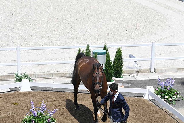 OLY-2020-DRESSAGE-JOG-7-24-21-1085-143-SHINGO HAYASHI-SCOLARI 4-JPN-DDEROSAPHOTO