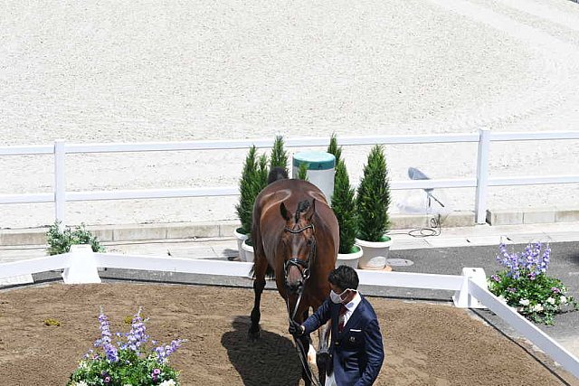 OLY-2020-DRESSAGE-JOG-7-24-21-1086-143-SHINGO HAYASHI-SCOLARI 4-JPN-DDEROSAPHOTO