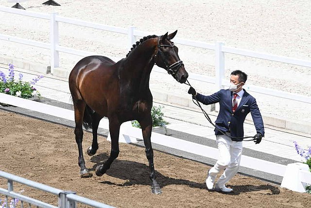 OLY-2020-DRESSAGE-JOG-7-24-21-1101-144-HIROYUKI KITAHARA-HURACAN 10-JPN-DDEROSAPHOTO