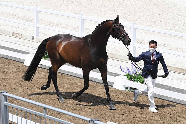 OLY-2020-DRESSAGE-JOG-7-24-21-1102-144-HIROYUKI KITAHARA-HURACAN 10-JPN-DDEROSAPHOTO