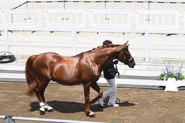 OLY-2020-DRESSAGE-JOG-7-24-21-1113-145-HKAZUKI SADO-LUDWIG DER SONNENKOENIG 2-JPN-DDEROSAPHOTO