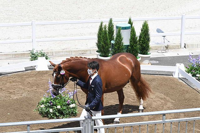 OLY-2020-DRESSAGE-JOG-7-24-21-1115-145-HKAZUKI SADO-LUDWIG DER SONNENKOENIG 2-JPN-DDEROSAPHOTO