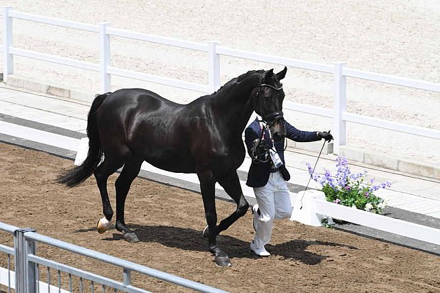 OLY-2020-DRESSAGE-JOG-7-24-21-1119-145-MASANAO TAKAHASHI-RUBICON-JPN-DDEROSAPHOTO