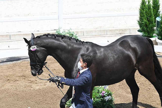 OLY-2020-DRESSAGE-JOG-7-24-21-1125-145-MASANAO TAKAHASHI-RUBICON-JPN-DDEROSAPHOTO