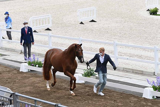 OLY-2020-DRESSAGE-JOG-7-24-21-1144-148 N WAGNER EHLINGER-QUATER BACK JUNIOR FRN-LUX-DDEROSAPHOTO