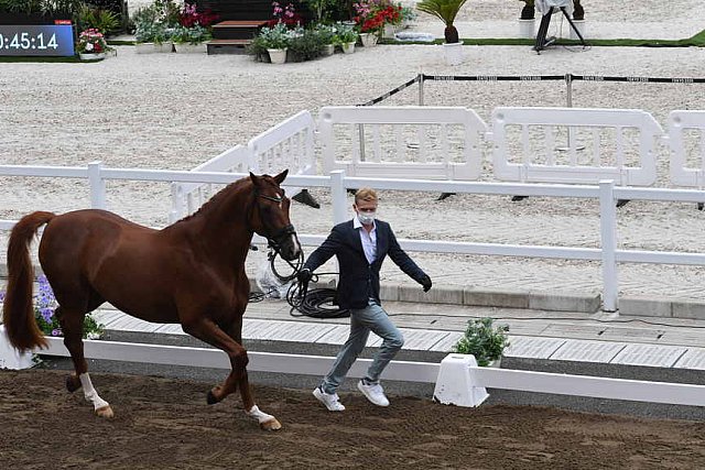 OLY-2020-DRESSAGE-JOG-7-24-21-1147-148 N WAGNER EHLINGER-QUATER BACK JUNIOR FRN-LUX-DDEROSAPHOTO