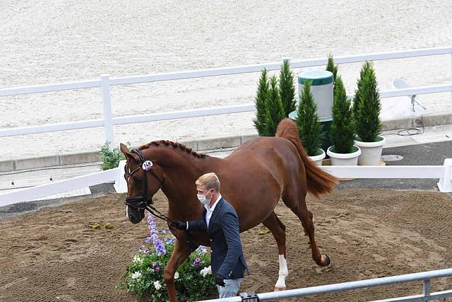OLY-2020-DRESSAGE-JOG-7-24-21-1151-148 N WAGNER EHLINGER-QUATER BACK JUNIOR FRN-LUX-DDEROSAPHOTO