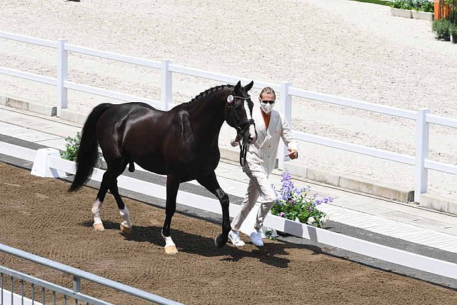 OLY-2020-DRESSAGE-JOG-7-24-21-1192-151-EDWARD GAL-TOTAL US-NED-DDEROSAPHOTO