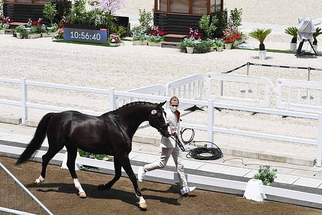 OLY-2020-DRESSAGE-JOG-7-24-21-1193-151-EDWARD GAL-TOTAL US-NED-DDEROSAPHOTO