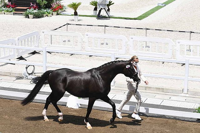 OLY-2020-DRESSAGE-JOG-7-24-21-1196-151-EDWARD GAL-TOTAL US-NED-DDEROSAPHOTO