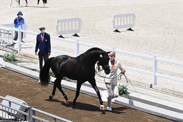 OLY-2020-DRESSAGE-JOG-7-24-21-1203-152-HP MINDERHOUD-DREAM BOY-NED-DDEROSAPHOTO