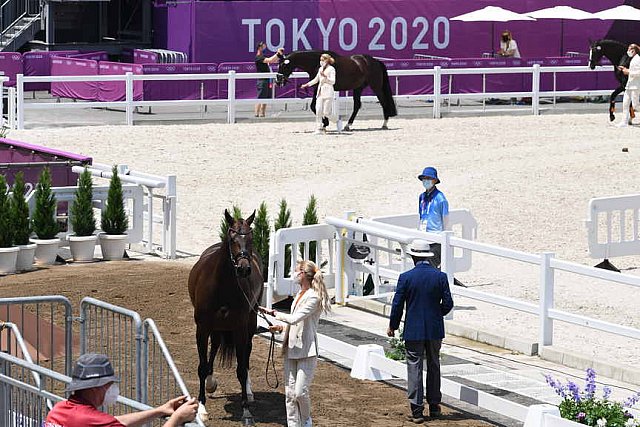 OLY-2020-DRESSAGE-JOG-7-24-21-1224-154-DINGE VAN LIERE-HAUTE COUTURE-NED-DDEROSAPHOTO