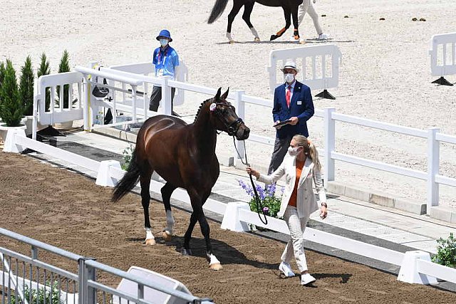 OLY-2020-DRESSAGE-JOG-7-24-21-1226-154-DINGE VAN LIERE-HAUTE COUTURE-NED-DDEROSAPHOTO