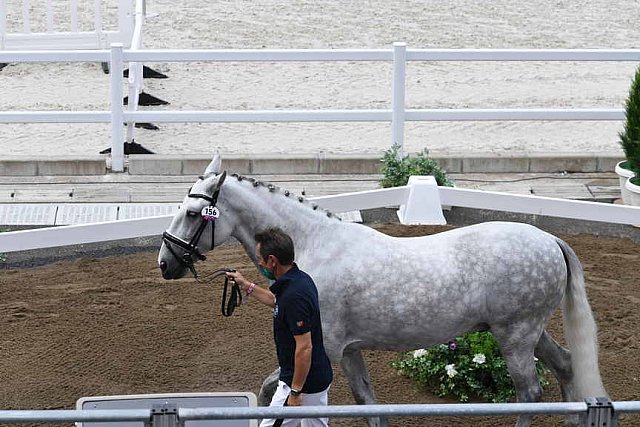 OLY-2020-DRESSAGE-JOG-7-24-21-1251-155-CARLOS PINTO-SULTAO MENEZES-POR-DDEROSAPHOTO