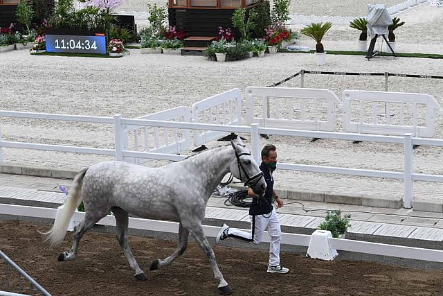 OLY-2020-DRESSAGE-JOG-7-24-21-1257-155-CARLOS PINTO-SULTAO MENEZES-POR-DDEROSAPHOTO