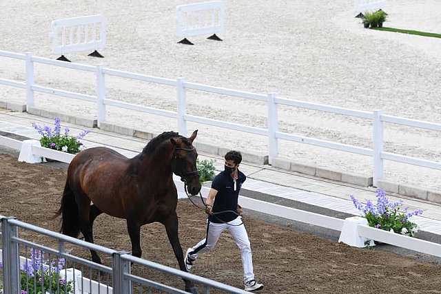 OLY-2020-DRESSAGE-JOG-7-24-21-1268-157-JM TORRAO-EQUADOR-POR-DDEROSAPHOTO