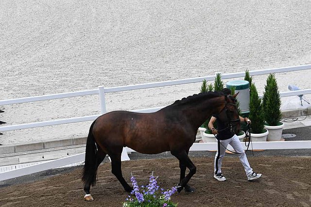 OLY-2020-DRESSAGE-JOG-7-24-21-1271-157-JM TORRAO-EQUADOR-POR-DDEROSAPHOTO