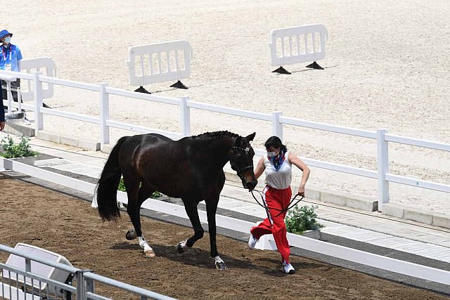 OLY-2020-DRESSAGE-JOG-7-24-21-1312-160-INESSA MERKULOVA-MISTER X-ROC-DDEROSAPHOTO