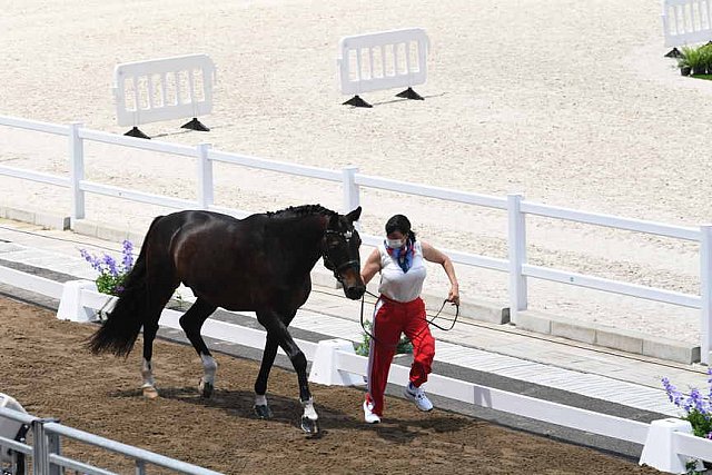 OLY-2020-DRESSAGE-JOG-7-24-21-1313-160-INESSA MERKULOVA-MISTER X-ROC-DDEROSAPHOTO