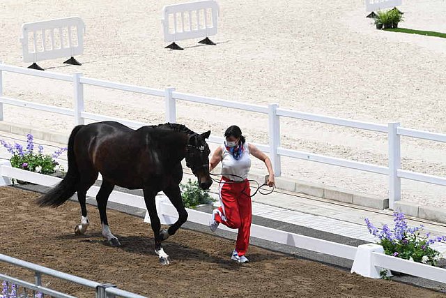 OLY-2020-DRESSAGE-JOG-7-24-21-1314-160-INESSA MERKULOVA-MISTER X-ROC-DDEROSAPHOTO