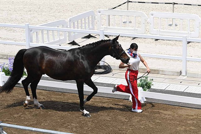 OLY-2020-DRESSAGE-JOG-7-24-21-1316-160-INESSA MERKULOVA-MISTER X-ROC-DDEROSAPHOTO