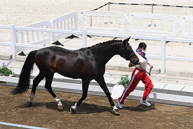 OLY-2020-DRESSAGE-JOG-7-24-21-1317-160-INESSA MERKULOVA-MISTER X-ROC-DDEROSAPHOTO