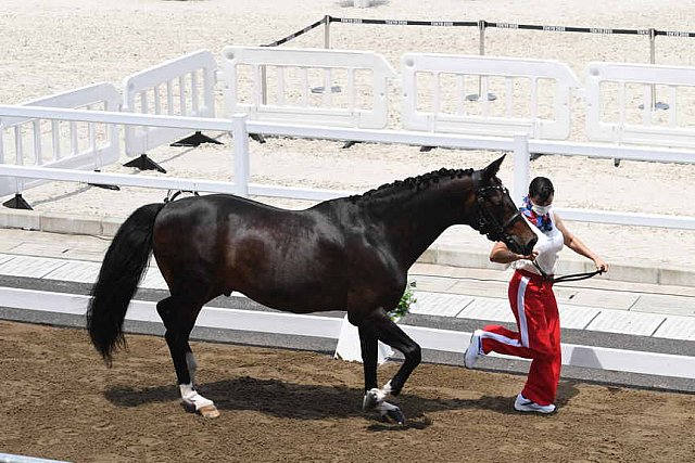 OLY-2020-DRESSAGE-JOG-7-24-21-1318-160-INESSA MERKULOVA-MISTER X-ROC-DDEROSAPHOTO