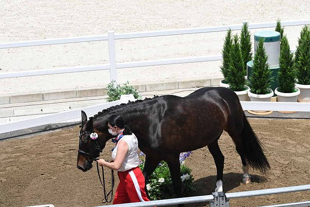 OLY-2020-DRESSAGE-JOG-7-24-21-1320-160-INESSA MERKULOVA-MISTER X-ROC-DDEROSAPHOTO