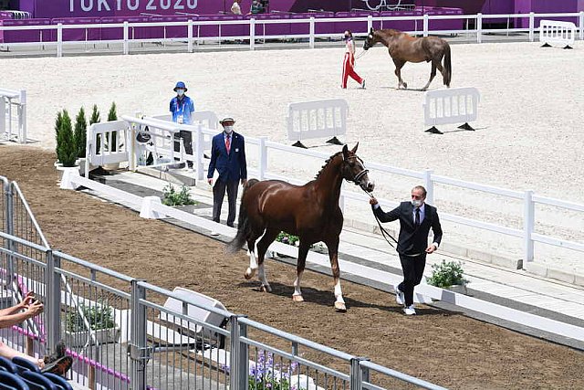 OLY-2020-DRESSAGE-JOG-7-24-21-1321-162-MARIA SHUVALOVA-FAMOUS CROSS-ROC-DDEROSAPHOTO