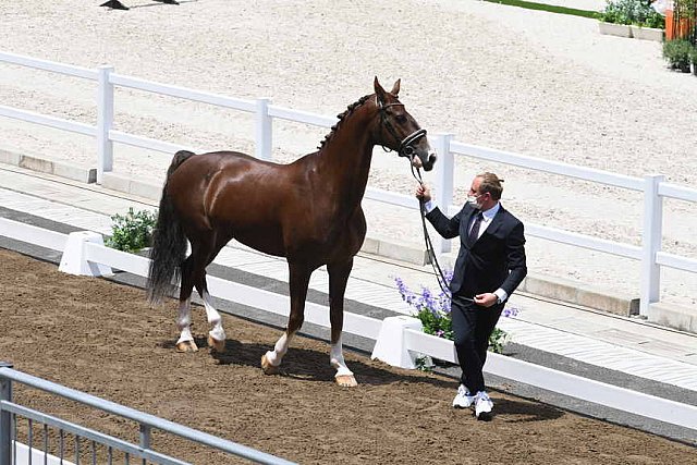 OLY-2020-DRESSAGE-JOG-7-24-21-1323-162-MARIA SHUVALOVA-FAMOUS CROSS-ROC-DDEROSAPHOTO