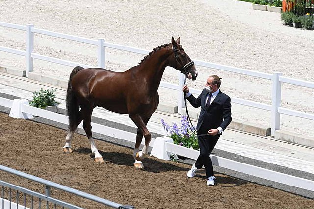 OLY-2020-DRESSAGE-JOG-7-24-21-1324-162-MARIA SHUVALOVA-FAMOUS CROSS-ROC-DDEROSAPHOTO