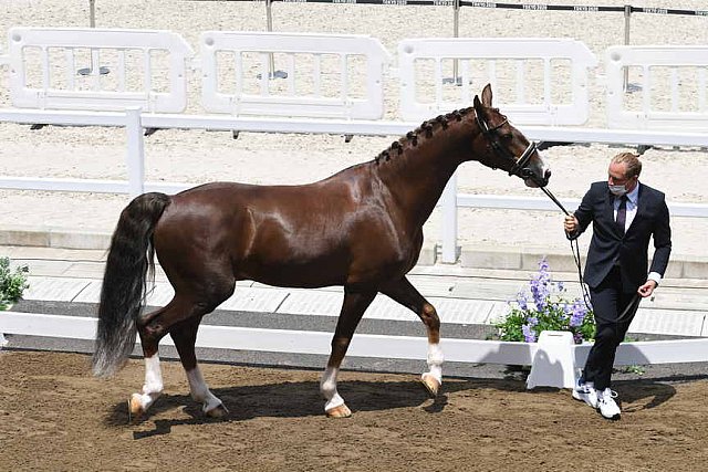 OLY-2020-DRESSAGE-JOG-7-24-21-1326-162-MARIA SHUVALOVA-FAMOUS CROSS-ROC-DDEROSAPHOTO