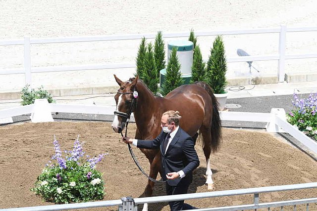 OLY-2020-DRESSAGE-JOG-7-24-21-1328-162-MARIA SHUVALOVA-FAMOUS CROSS-ROC-DDEROSAPHOTO