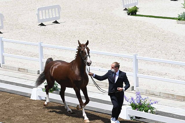 OLY-2020-DRESSAGE-JOG-7-24-21-1330-162-MARIA SHUVALOVA-FAMOUS CROSS-ROC-DDEROSAPHOTO