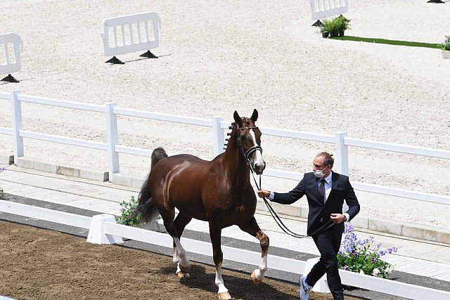 OLY-2020-DRESSAGE-JOG-7-24-21-1331-162-MARIA SHUVALOVA-FAMOUS CROSS-ROC-DDEROSAPHOTO