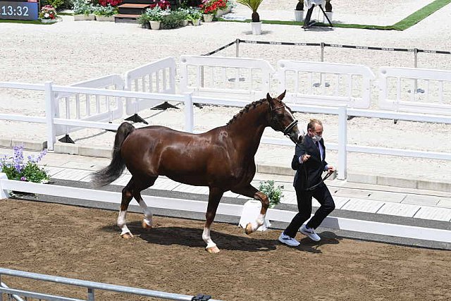 OLY-2020-DRESSAGE-JOG-7-24-21-1334-162-MARIA SHUVALOVA-FAMOUS CROSS-ROC-DDEROSAPHOTO