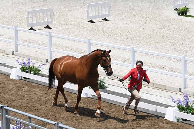 OLY-2020-DRESSAGE-JOG-7-24-21-1341-164-CAROLINE CHEW-TRIBIANI-SGP-DDEROSAPHOTO