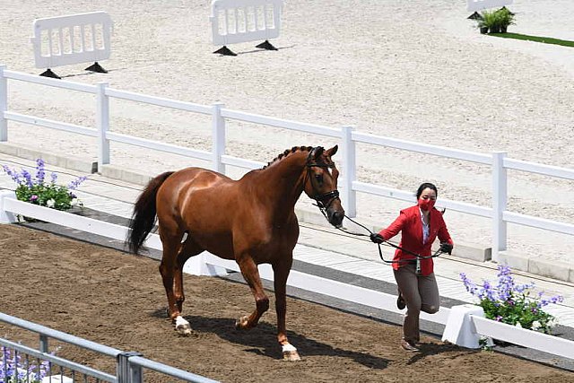 OLY-2020-DRESSAGE-JOG-7-24-21-1342-164-CAROLINE CHEW-TRIBIANI-SGP-DDEROSAPHOTO