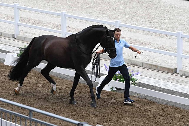 OLY-2020-DRESSAGE-JOG-7-24-21-1361-167-THERESE NILSHAGEN-DANTE WELTINO OLD-SWE-DDE-SWE-DDEROSAPHOTO