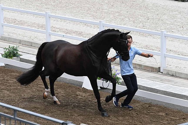 OLY-2020-DRESSAGE-JOG-7-24-21-1362-167-THERESE NILSHAGEN-DANTE WELTINO OLD-SWE-DDE-SWE-DDEROSAPHOTO