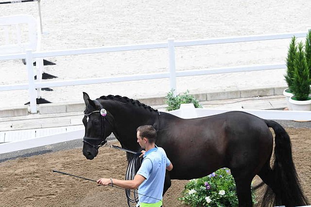 OLY-2020-DRESSAGE-JOG-7-24-21-1366-167-THERESE NILSHAGEN-DANTE WELTINO OLD-SWE-DDE-SWE-DDEROSAPHOTO
