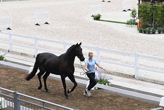 OLY-2020-DRESSAGE-JOG-7-24-21-1372-168-ANTONIA RAMEL-BROTHER DE JEU-SWE-DDEROSAPHOTO