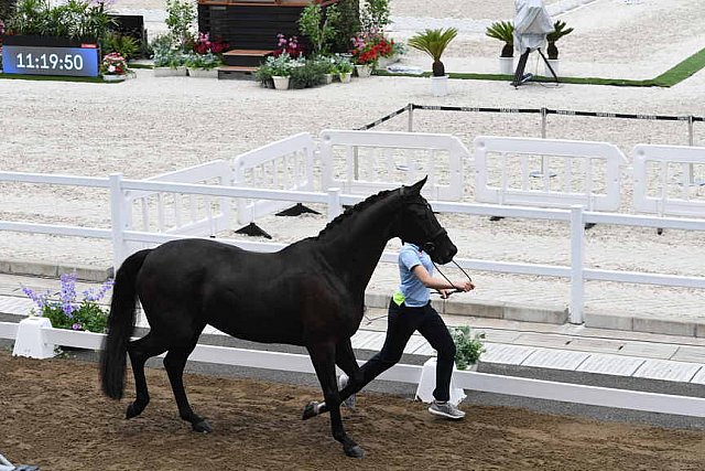 OLY-2020-DRESSAGE-JOG-7-24-21-1373-168-ANTONIA RAMEL-BROTHER DE JEU-SWE-DDEROSAPHOTO