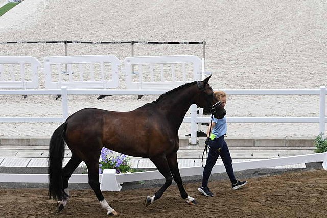 OLY-2020-DRESSAGE-JOG-7-24-21-1393-169-JULIETTE RAMEL-BURIEL K.H-SWE-DDEROSAPHOTO