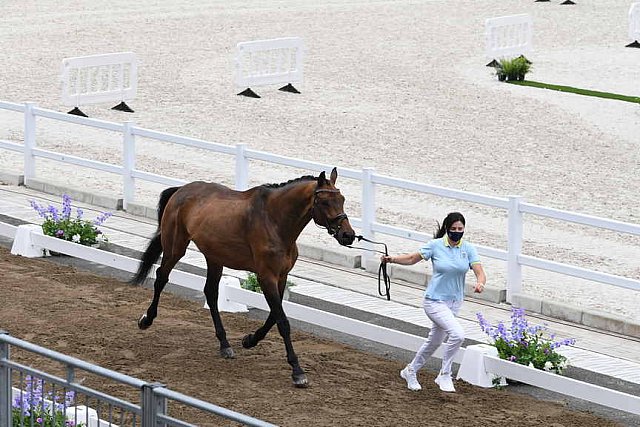 OLY-2020-DRESSAGE-JOG-7-24-21-1400-170-INNA LUGUTENKOVA-FLERARO-UKR-DDEROSAPHOTO