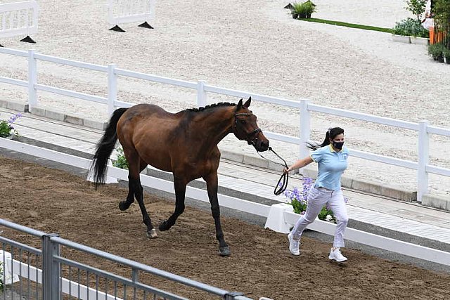 OLY-2020-DRESSAGE-JOG-7-24-21-1402-170-INNA LUGUTENKOVA-FLERARO-UKR-DDEROSAPHOTO