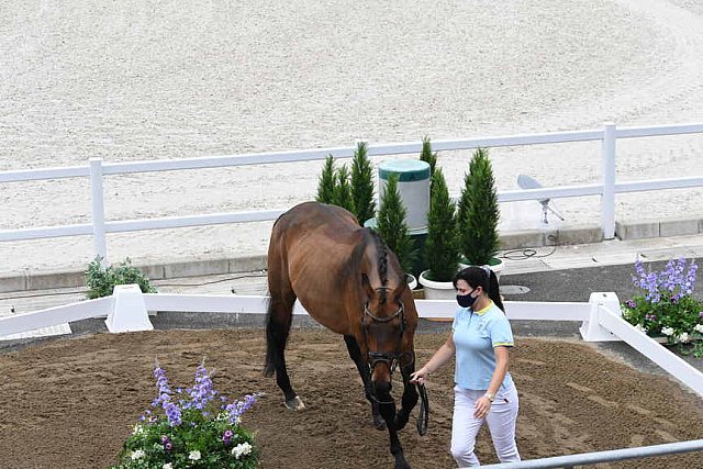 OLY-2020-DRESSAGE-JOG-7-24-21-1407-170-INNA LUGUTENKOVA-FLERARO-UKR-DDEROSAPHOTO