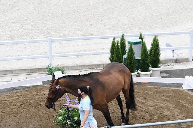 OLY-2020-DRESSAGE-JOG-7-24-21-1409-170-INNA LUGUTENKOVA-FLERARO-UKR-DDEROSAPHOTO