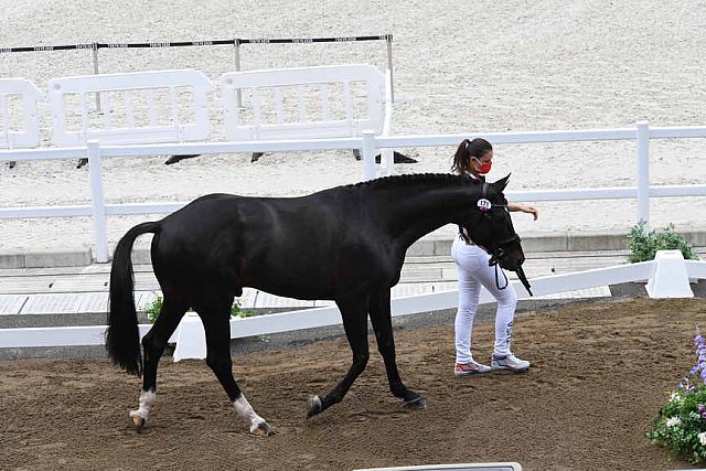 OLY-2020-DRESSAGE-JOG-7-24-21-1423-171-LYLE ADRIENNE-SALVINO-USA-DDEROSAPHOTO